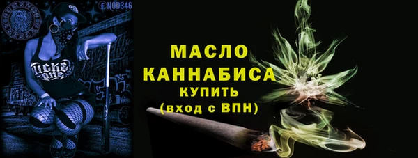 тгк Каменка