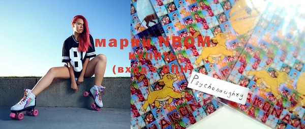 ешки Инсар
