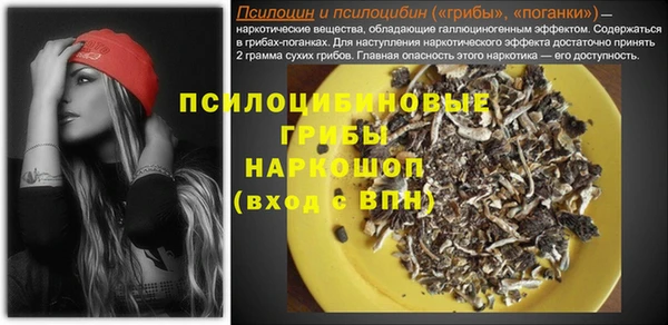 мет Инта