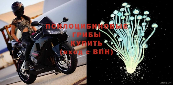 ешки Инсар