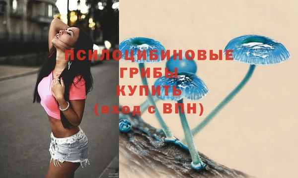 мет Инта