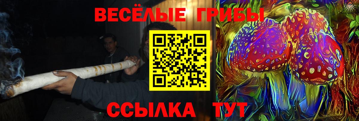 Краснотурьинск  Галлюциногенные грибы мухоморы  Вход с VPN 